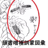 「こおろぎの草子」　　「虫の三十六歌仙」　　1から6
