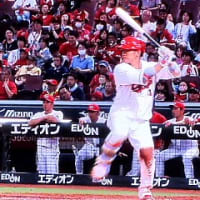 稲の葉っぱにとまる紅シジミ蝶