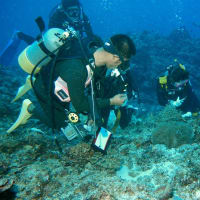 沖縄2005　ダイビング　その6