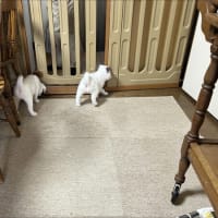 時間の問題？