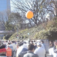 2013東京マラソン