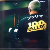 グロサリオが花盛り