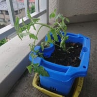 雨が・・・
