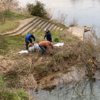 ドラゴンリバー河川清掃