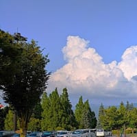 ２１年ぶり