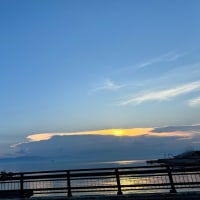 口に出せていますか？