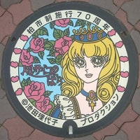 マンホールカード(柏市)