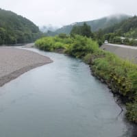 本日の海部川