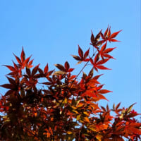 ６月17日火曜日　真夏日❗