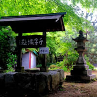 大阪で一番高い山-大阪府千早赤阪村：金剛山