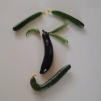 今日の農作業