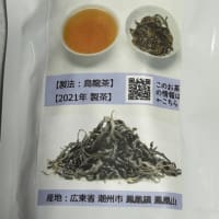 中国烏龍茶テイスティング