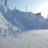 雪が恋しい道産子（笑）