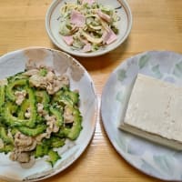 彼らは日本をどこへ