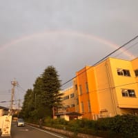 #イエスからのお知らせ