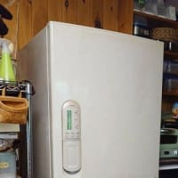 気になってたモノ