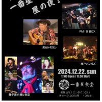 ライブのお知らせ！　2024年11月〜