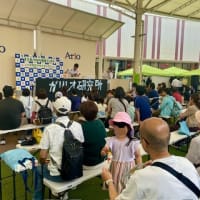 議会リポートvol.4発行　環境フェスタの賑わい