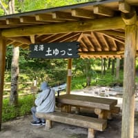 エクストレイルで初めての車中泊旅④ 福島ぶらぶら