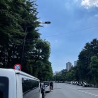 今日は夏至！