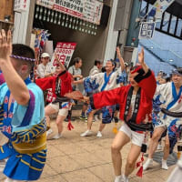 2024年8月25日　天神天満阿波おどり