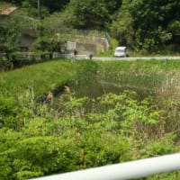 岡山県ー古城池トンネル