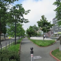 北海道-創成川公園