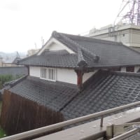 きょうも夕立ち