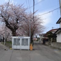 ２０２５年４月　青森　その４