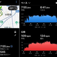朝ラン８ｋｍ & 家庭菜園