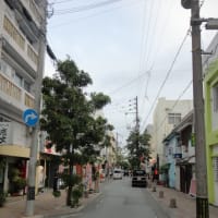 も一度沖縄に住みたい