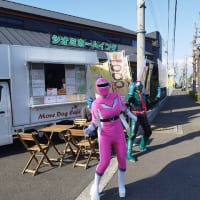 日曜相談会に出てくる桜色のアイツ　大谷公園町の事務所にも来ますし、南御座の事務所にもあられますよ