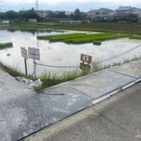 茨木市高槻市摂津市の市堺付近　㈱トーナイ買い取りセンター近くにスーパービバホームとロピアが出現　米が山積み