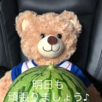 本日、土曜日も通常通りの鍼療