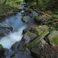 ★涼しい場所へ（低山の谷川）⑤　2024