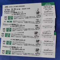 【観戦チケット】WE LEAGUE アルビレックス新潟レディース戦【お譲りします】