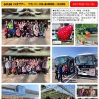 広報誌ふれあい第45号発行