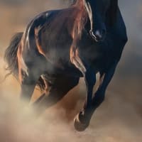 競馬小説 連載 5 多摩川 健 リタイア シニアのつれずれ 競馬小説 連載 5 多摩川 健 リタイア シニアのつれずれ