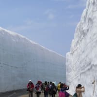 にっぽん旅さんぽ　－　立山黒部アルペンルート＋(プラス)　－