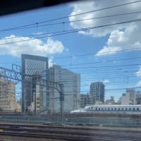 横浜じゃ今