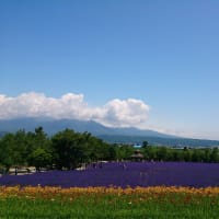 美景を探しに～美瑛