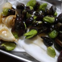 ハウス前を夏花壇に・草取り