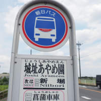 ブルーフェスティバル「2025」