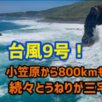 台風9号のうねりが小笠原から届き始めた