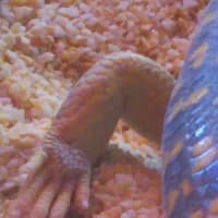 手のひら＾＾