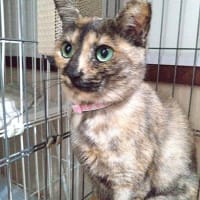  5月14日（水）甘えっ子になった ももちゃん♪