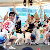 2024年阿波踊り