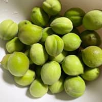 若桃（摘果桃）を使って　シロップ煮　そして　ピクルス