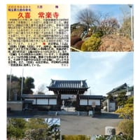 花巡り「梅－368」　久喜　常楽寺