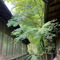 1歳の時、なかなか保育園での遊びをしなかった、2歳の今をまとめました！